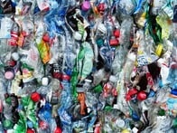 【クイズ】世界で1番マイクロプラスチックを「食べている」のは、どの地域に住む人？