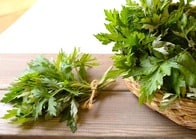 「冬のヨモギ」はなぜ乳製品と相性がよいのか？...日本の雑草専門家に聞く「おいしい草の食べ方」