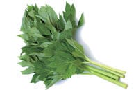 日本原産の野菜「アシタバ」に驚きのアンチエイジング効果