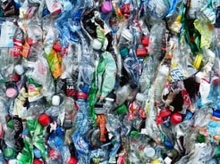 【クイズ】世界で1番マイクロプラスチックを「食べている」のは、どの地域に住む人？