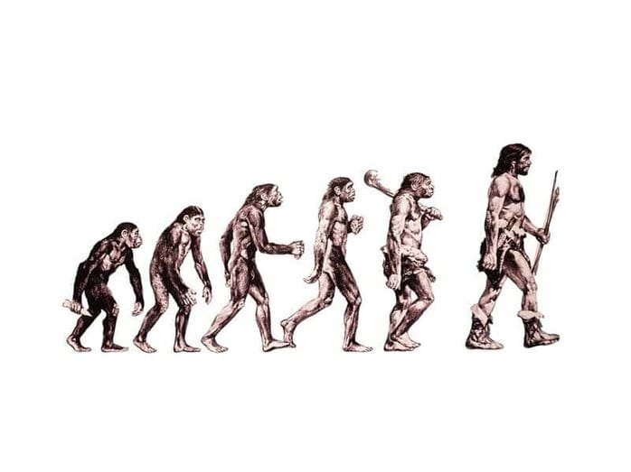 人類の起源」の定説が覆る大発見100万年前の頭蓋骨から何が分かった