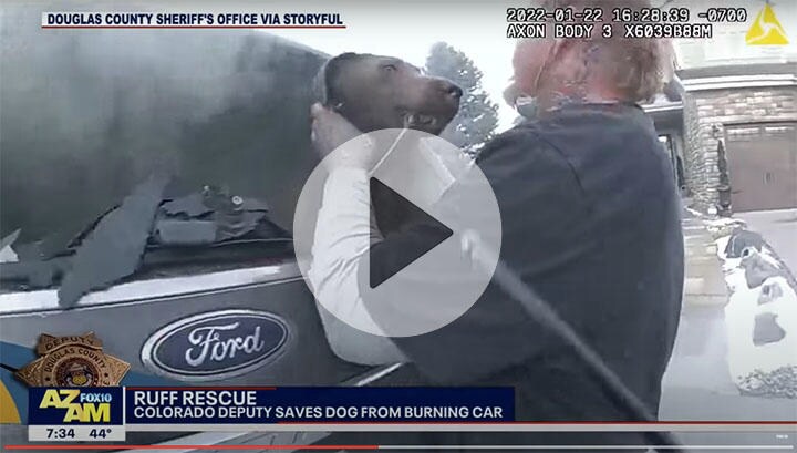 愛犬ハンクを救出しようと飼い主も必死だった（動画は本文中にあります）　 FOX 10 Phoenix-YouTube