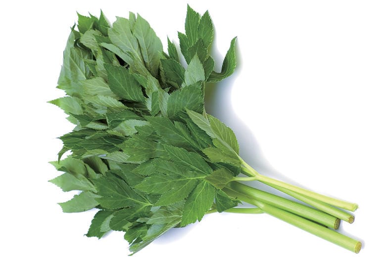 日本では古来から胃潰瘍やアレルギーに効果があるとされてきた　EYE-BLINK/ISTOCKPHOTO