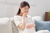 ヒト以外の哺乳類にも、妊娠期間中に「つわりに似た変化」が生じることが明らかに　メカニズム解明で期待できること