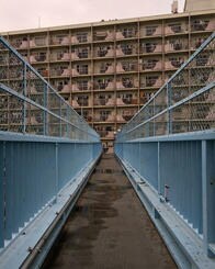 日本の路地を彷徨い、人生が変わった「不思議と迷わなかった」