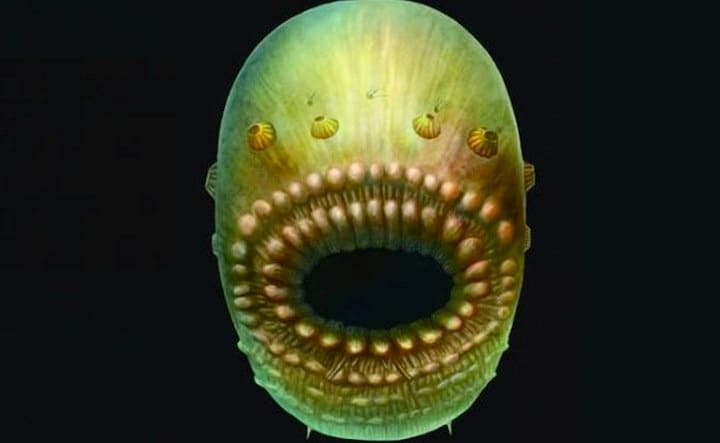 Artist reconstruction by S Conway Morris / Jian Han