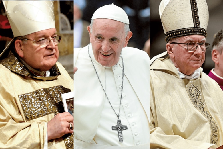 レイモンド・バーク枢機卿、フランシスコ教皇、ピエトロ・パロリン枢機卿　FRANCO ORIGLIA/GETTY IMAGES／JOE GIDDENSｰIPAｰZUMAｰREUTERS／YARA NARDIｰREUTERS