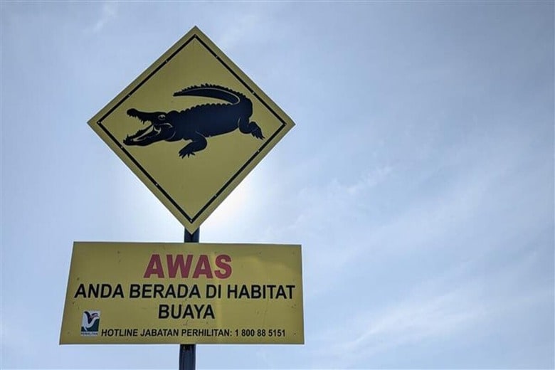 マレーシアではワニが多数生息している地域がある（写真はイメージ）　Maulud-shutterstock