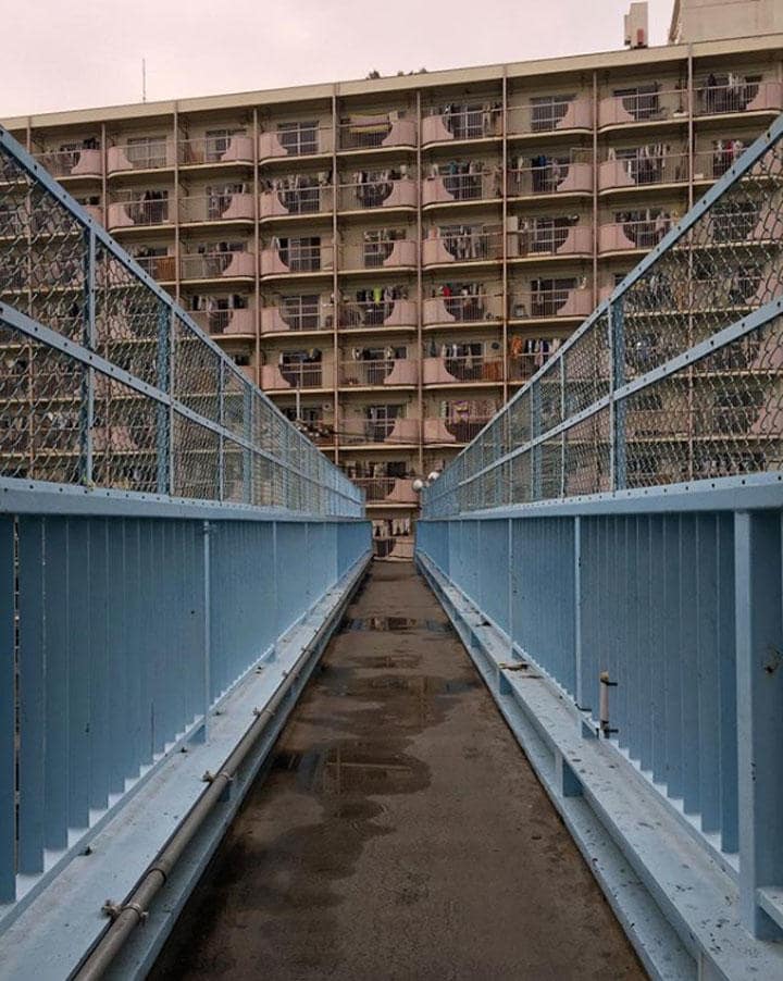 From Nadia Anemiche <a href=\"https://www.instagram.com/p/BZs6A9eAYEd/\"target=\"_blank\"><u>@rabbittears</u></a>