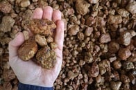 【クイズ】世界で2番目に「ボーキサイト」の算出量が多い国は？