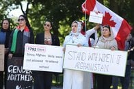 タリバンの手引きで、タリバンを賛美する欧米のインフルエンサーがSNS上で台頭