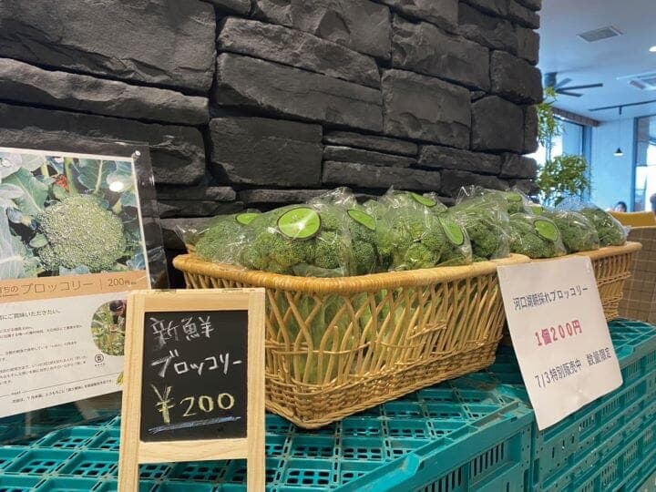 地元農家(おおさわ園様)で収穫されたブロッコリー