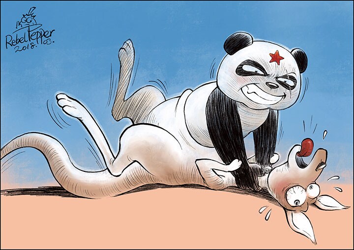 かわいいパンダも時に人を襲うことがある　(c)2018 REBEL PEPPER/WANG LIMING FOR NEWSWEEK JAPAN