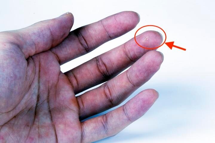 世界最小の人工飛行物が開発された　Northwestern University