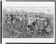 ウイグル批判に華春瑩がアメリカの「奴隷」を持ち出し反撃