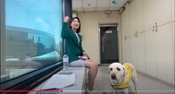 【動画】視覚障害の人気アナ、ホ･ウリョンと盲導犬のハヤン