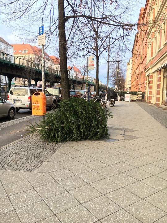 christmastree3-weihnachtsbaumentsorgung3-720.jpg