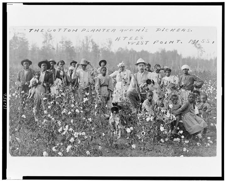 華春瑩がツイッターに投稿したアメリカの「強制労働」の写真　 Library of Congress