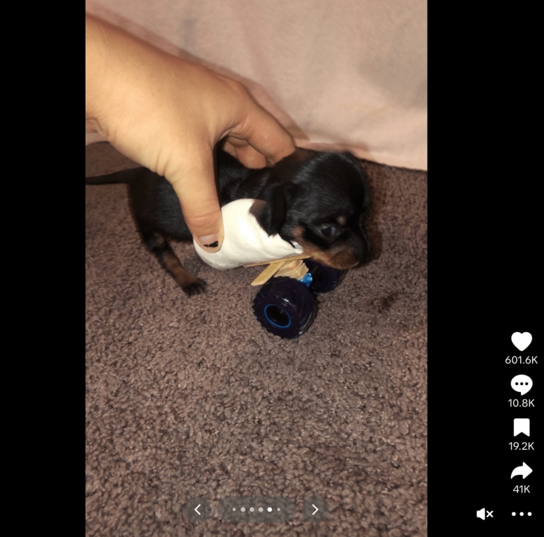 スクリーンショット 2025-09-03 19.12.00.png