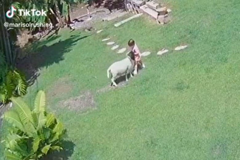 @marisolrushing/TikTok