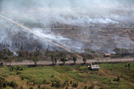 　８月１４日、インドネシア国家防災庁（ＢＮＰＢ）は１４日、今年の乾季はエルニーニョ現象のため例年より長くなり、１０月まで続くとの見通しを示した。写真はインドネシアのバンジェルマシン近郊の森林火災。２０１９年９月撮影（２０２３年　ロイター／Willy Kurniawan）