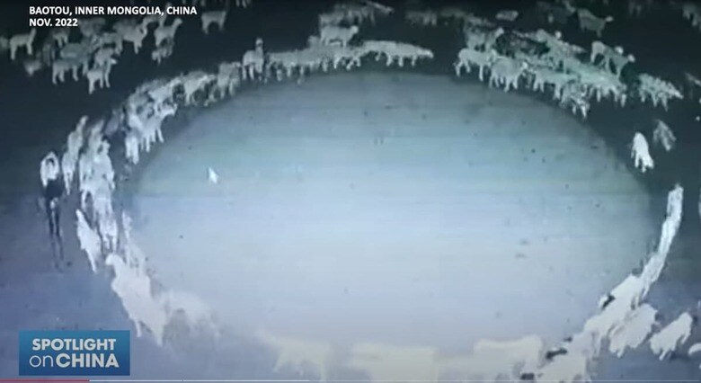 Spotlight on China-YouTube