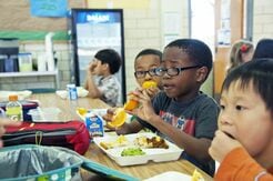 高タンパクの食事は子供の肥満対策になる？ WHOとケネディJr.の勧告に食い違い
