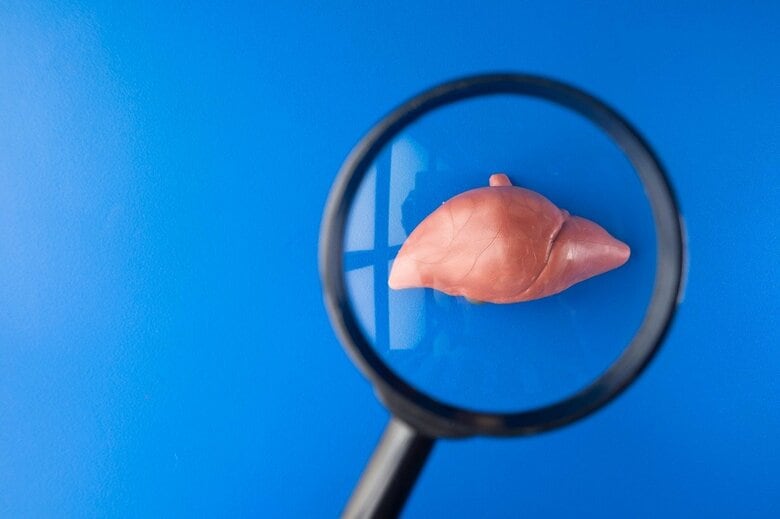 Yunus Nugraha -shutterstock-