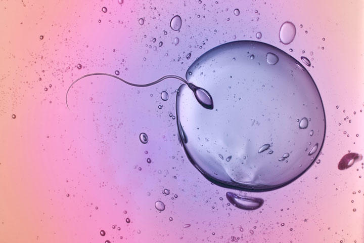 生物学界の50年来の謎が解けた？　ugurhan/iStock.