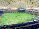 【プレミア12】注目のMLBドラ1選手と日本滞在を満喫するオーストラリア代表チーム