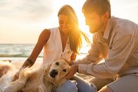 恋人よりペットを選ぶ？ Z世代の恋愛で「動物好き」が重要条件に