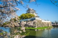 実力で抜擢した信長、夢で動かした秀吉...戦国リーダーの人材活用術