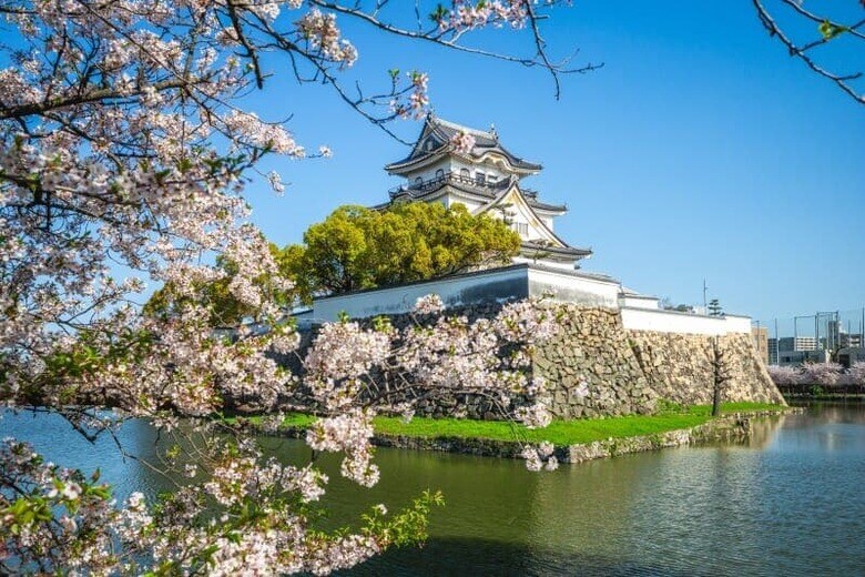 Richie Chan -shutterstock-