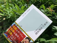 丸山ゴンザレスだからこそ書けた世界の裏社会ルール