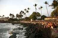 米ハワイ島でデング熱が流行、非常事態を宣言