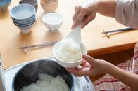 「備蓄米100万トン」でコメはまた高くなる？ 食料安全保障を名目に続く高米価政策の矛盾