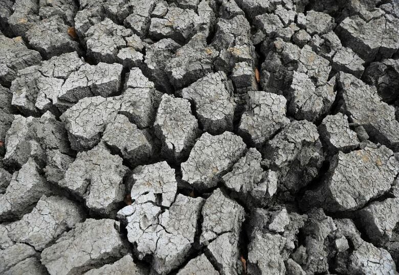 写真はエルニーニョ現象による干ばつで地割れしたダム。2024年7月、ジンバブエ・ムジで撮影。REUTERS/Philimon Bulawayo