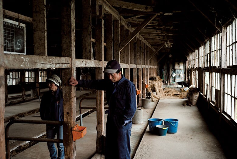 福島県浪江町からの避難を迫られた三瓶利仙、恵子夫妻は約30キロ離れた本宮市で木造の古い牛舎を見つけた