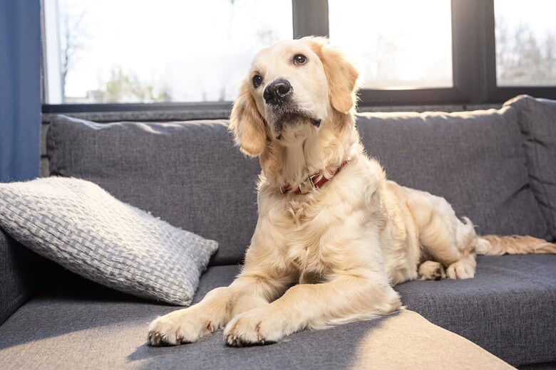 （写真はイメージです）　LightFieldStudios-iStock