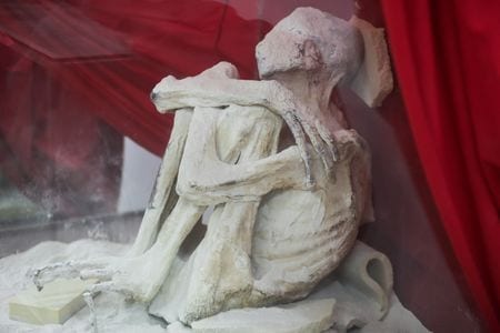 焦点：ナスカのミイラが「宇宙人」に、止まらぬ古代遺跡の略奪