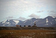 ロシア､ノルウェーに｢報復｣警告　制裁措置でロシア人居住区に物資運べず
