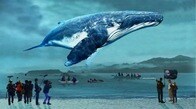 あの太地町から「捕鯨論争」に新たな光を当てる　映画『おクジラさま』