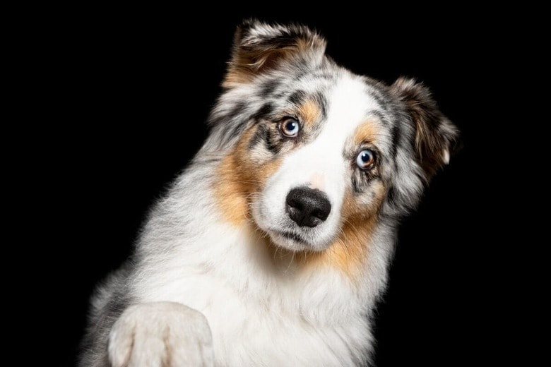 （写真はイメージです）www.MartinaBurianova.cz-shutterstock