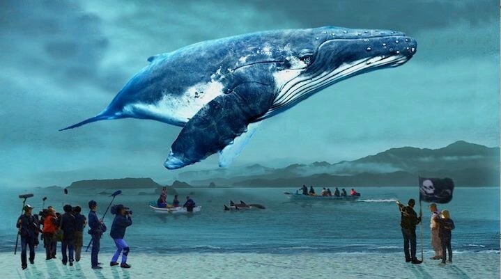 (c)「おクジラさま」プロジェクトチーム