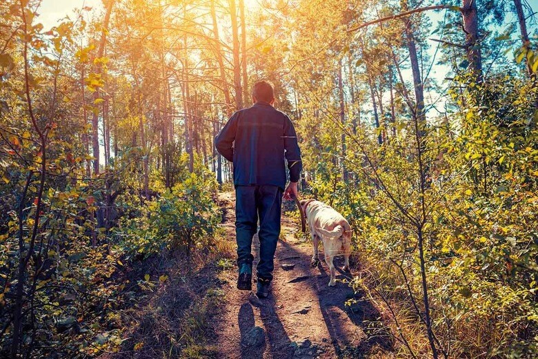 最初は1日10分間でいい。大切なのは毎日続けて習慣にすることだ　VVVITA/ISTOCK