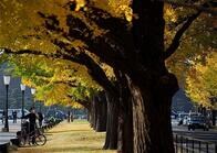 東京都､ 22日のコロナ新規感染391人　日曜としては過去最多に