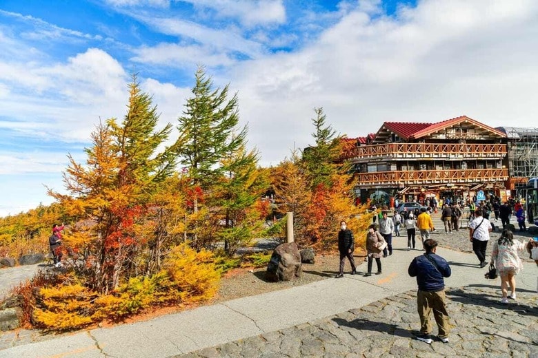 写真はイメージです　i viewfinder／Shutterstock