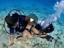 【動画】これが証拠映像！ 女性ダイバーの下半身を何度も触る、男性インストラクターの「不適切行為」の瞬間