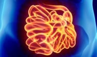 腸内の「第2の脳」、排便を促進──仕組みを解明する新発見