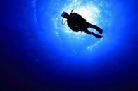 水深60メートル、世界最深のプールで目にする「未知の世界」